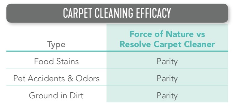 Carpet Cleaning Efficacy